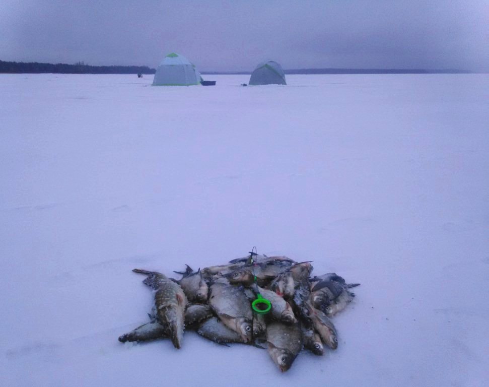 Улов на чертика