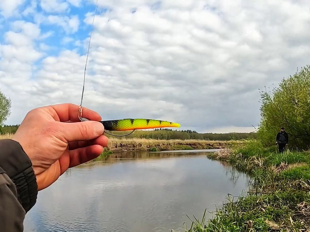 Рыба откусила хвост у виброхвоста