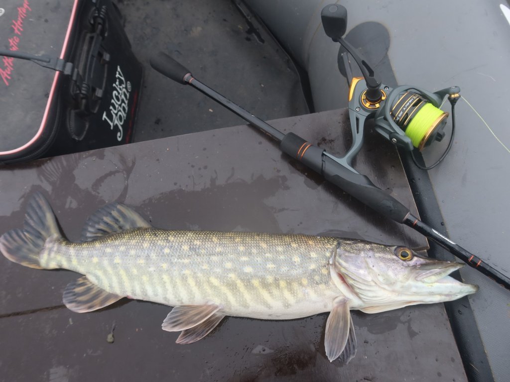 Щука лежит в лодке