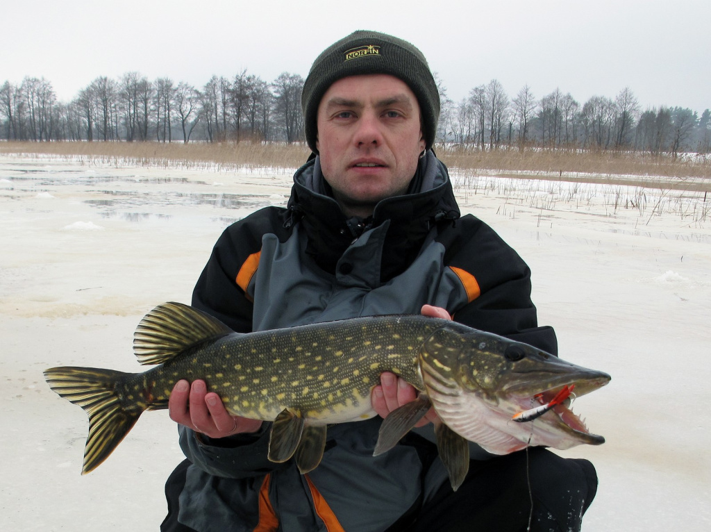 Подготовка балансиров к сезону Подготовка балансиров к сезону