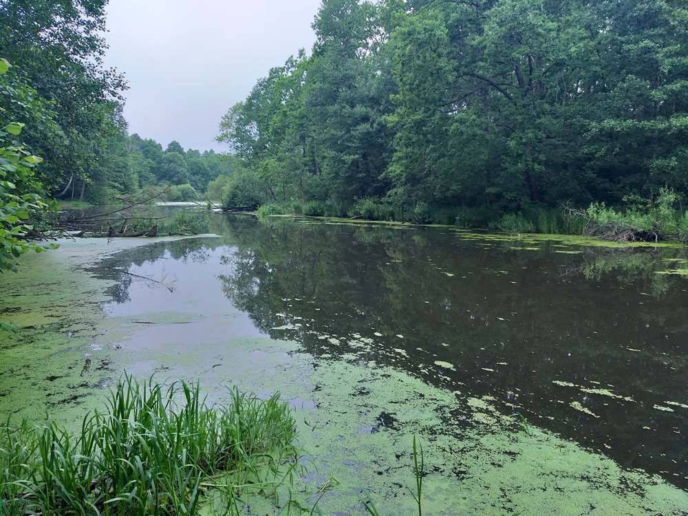 душевная рыбака с маховой удочкой 0007.JPG