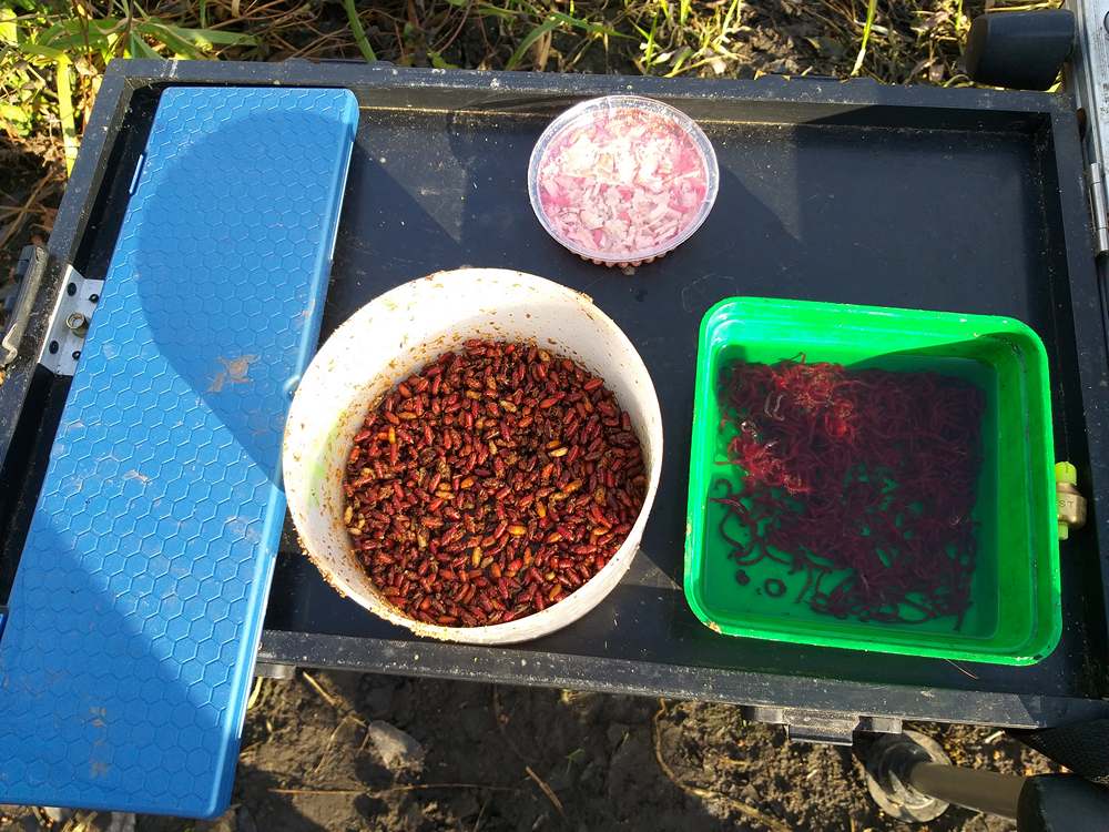 Минимальный набор самых необходимых рыболовных аксессуаров 0002.JPG