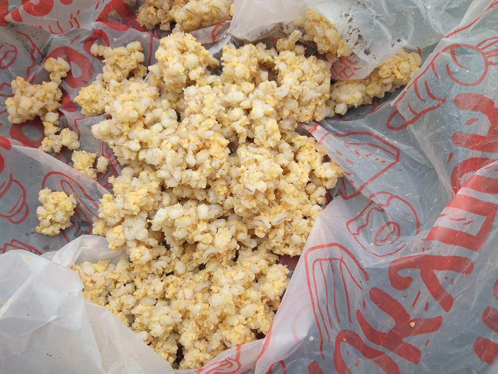 карась на каналах 0002.JPG