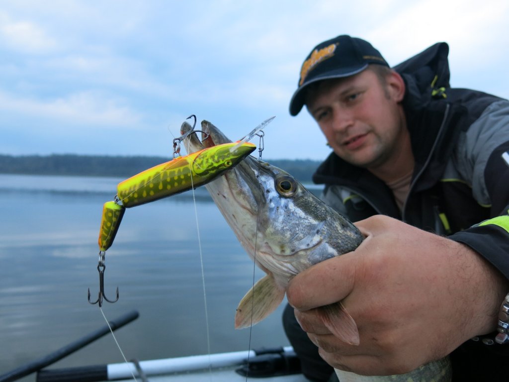 Воблер "под щуку" хорошо ловит саму щуку Воблер "под щуку" хорошо ловит саму щуку