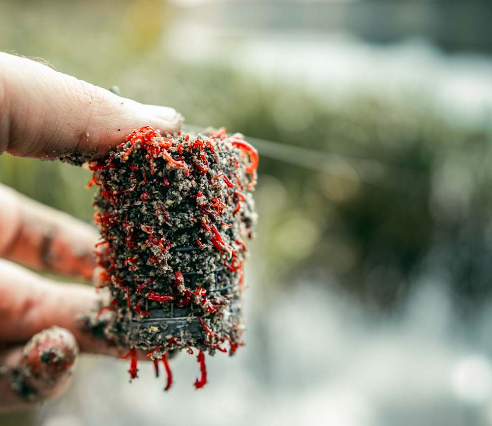 Три совета по ловле плотвы в ноябре!