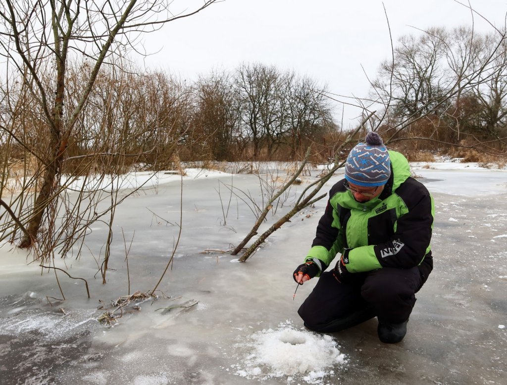Рыболов ловит на льду возле кустов