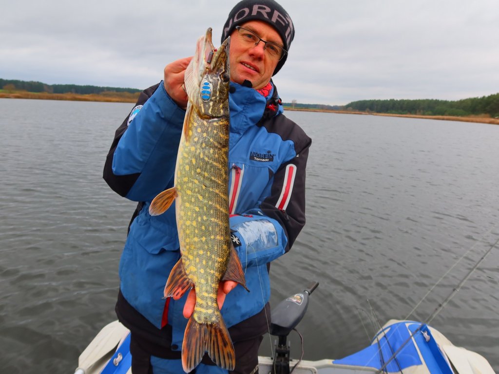 Валерий Сикиржицкий держит щуку, клюнувшую на вертушку
