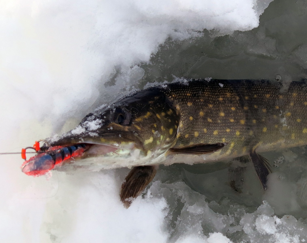 Подготовка балансиров к сезону Подготовка балансиров к сезону