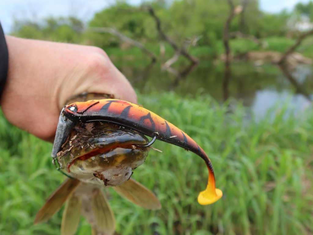 Щука клюнула на оранжевый виброхвост