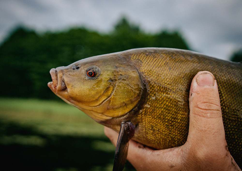 как ловить на удочка с кольцами и катушкой 00008.JPG