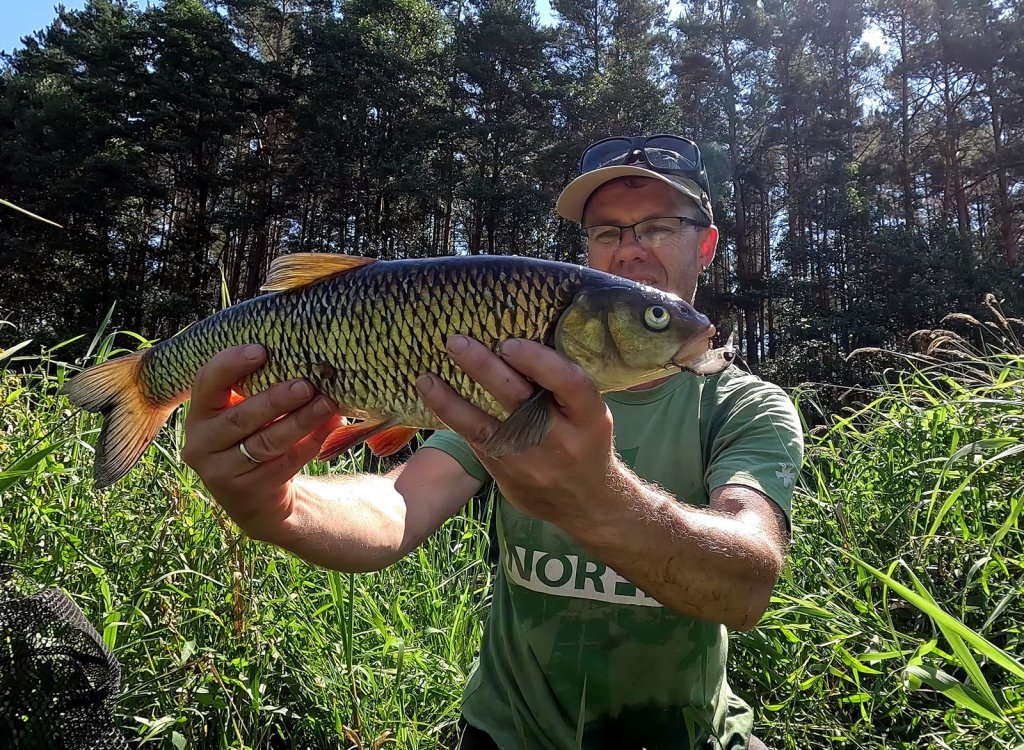 Крупного голавля поймал Валерий Сикиржицкий