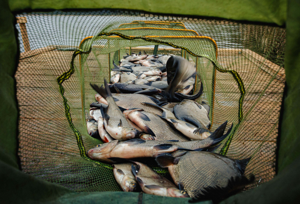 ловля на леща в мае 00005.JPG