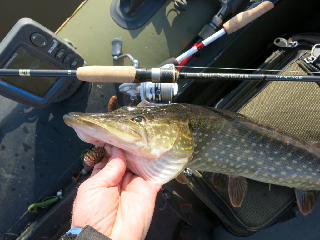 Щука в лодке со снастью