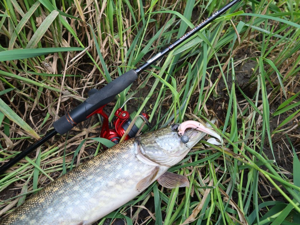 Щука, виброхвост и спиннинговая снасть