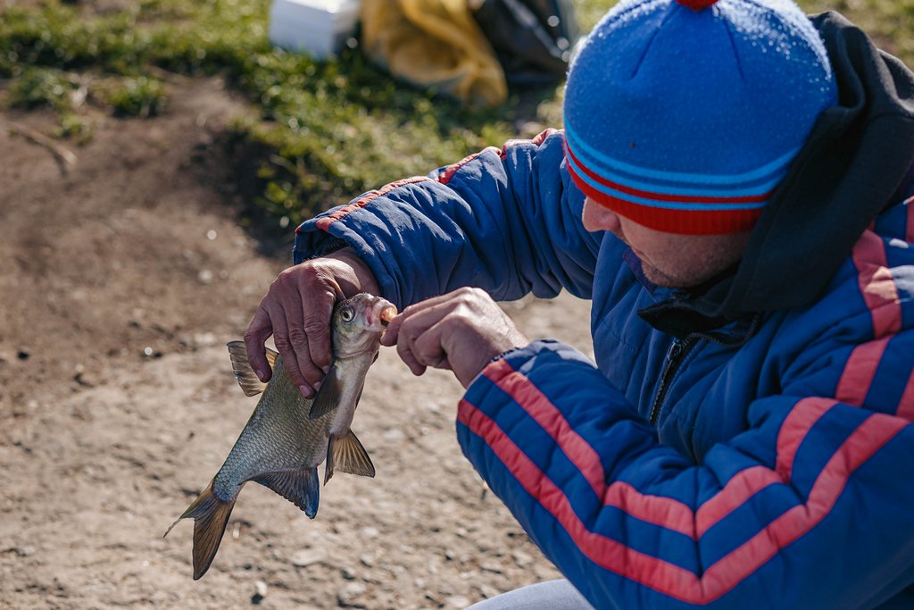 Рыбак достает крючок из пойманного леща