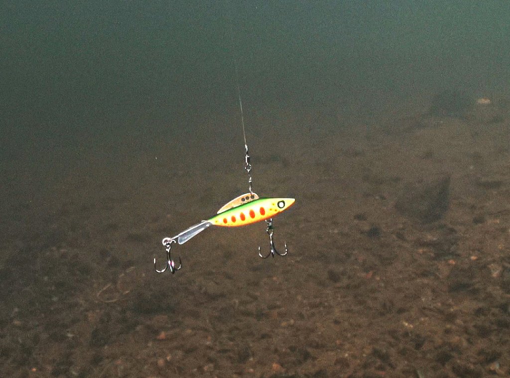 Яркий балансир под водой