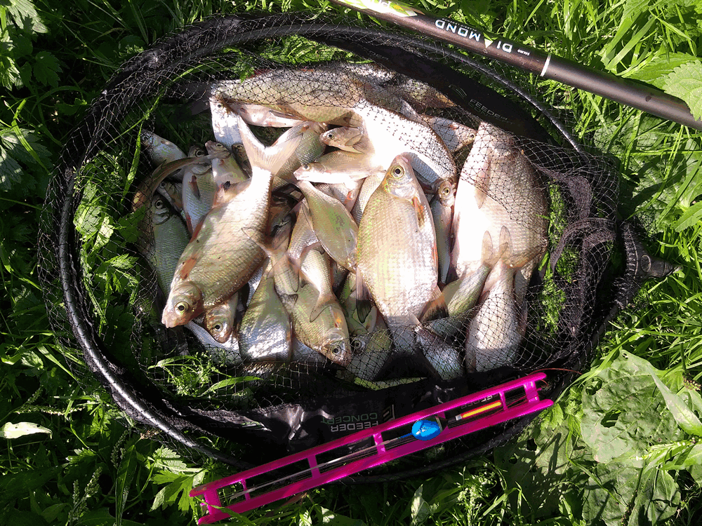 Ловля на реке коротким махом 0002.PNG