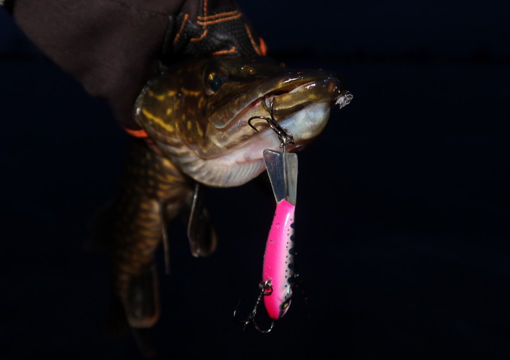 Поимка щуки на балансир в темноте