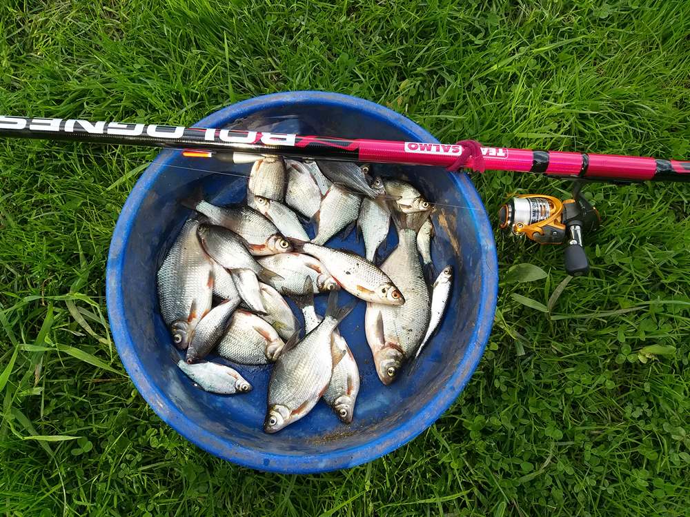 основы болонской ловли 00008.JPG