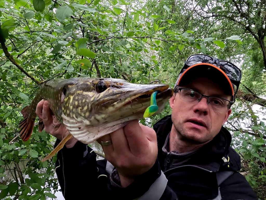 Валерий Сикиржицкий показывает речную щуку с приманкой Валерий Сикиржицкий показывает речную щуку с приманкой
