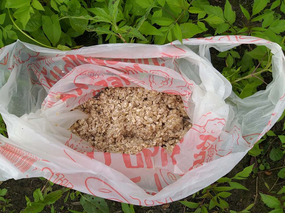 Маховая ловля на реках с ощутимым течением 0009.JPG