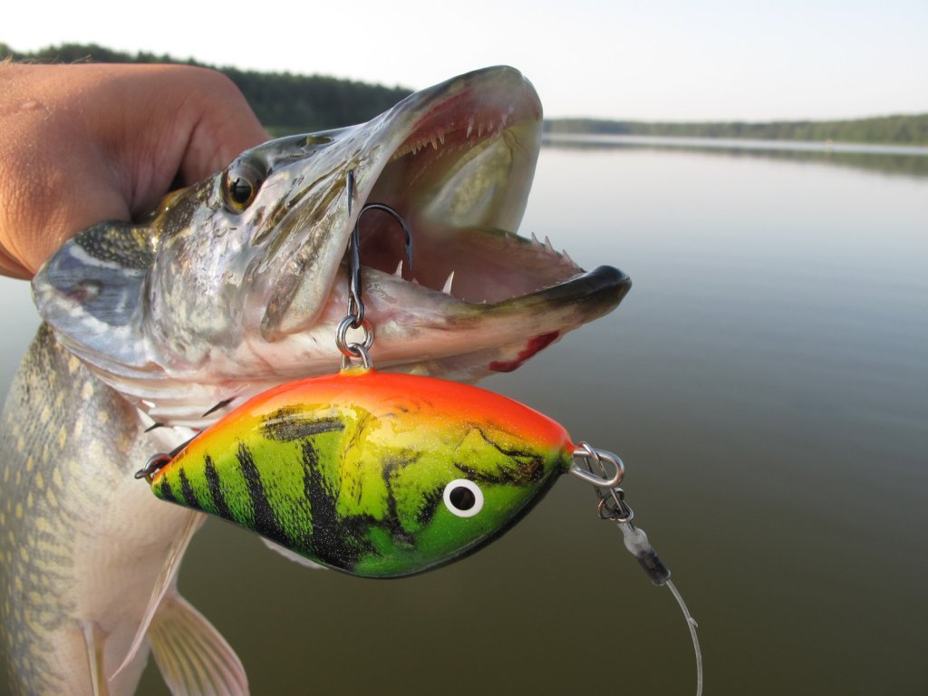 Salmo Slider - щучья приманка Salmo Slider - щучья приманка