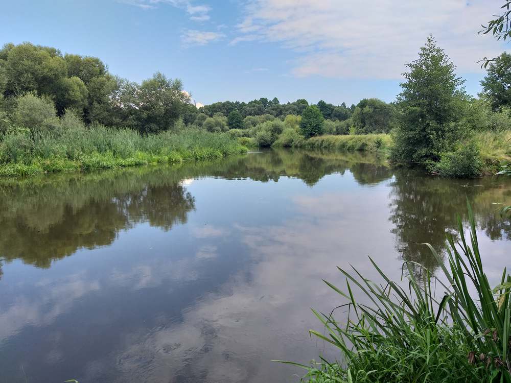 как ловить легким фидером на реке 0023.JPG