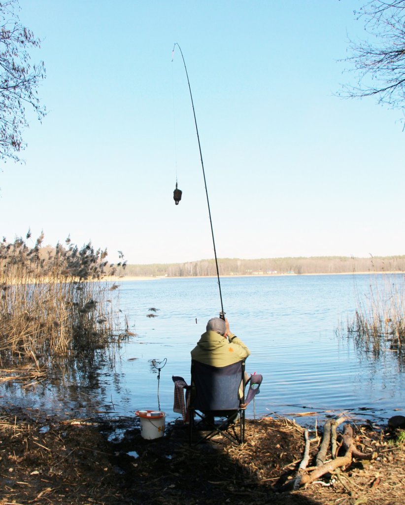 Фидерный заброс среди ветвей деревьев