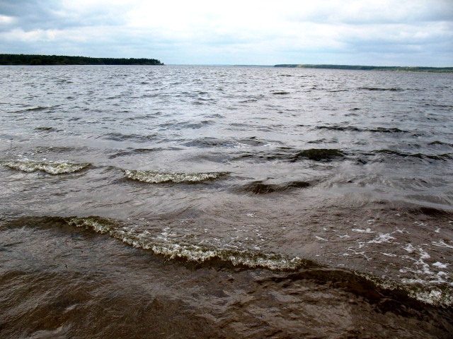 судак - биология места обитания и поведение 00004.JPG