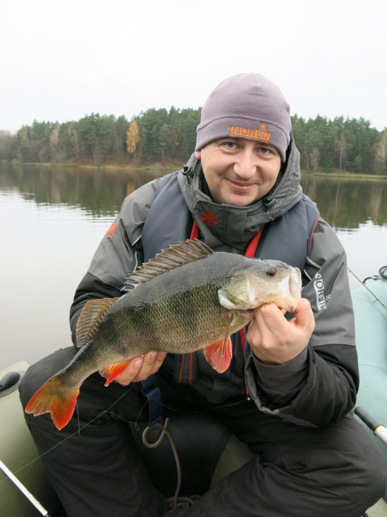 Рыболов держит крупного окуня