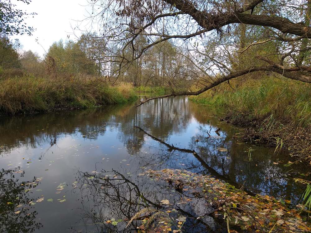 Специфика ловли щуки на малых реках