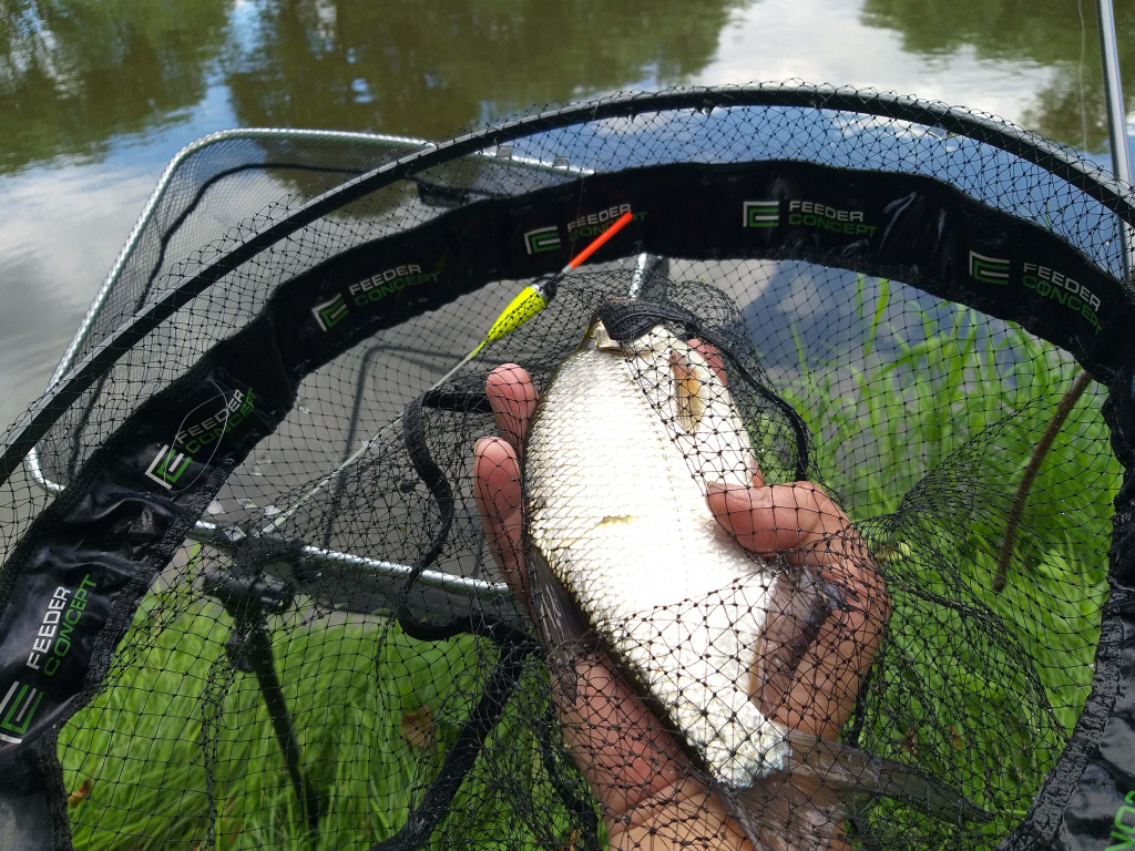 поплавочная оснастка для ловли в проводку 0002.JPG