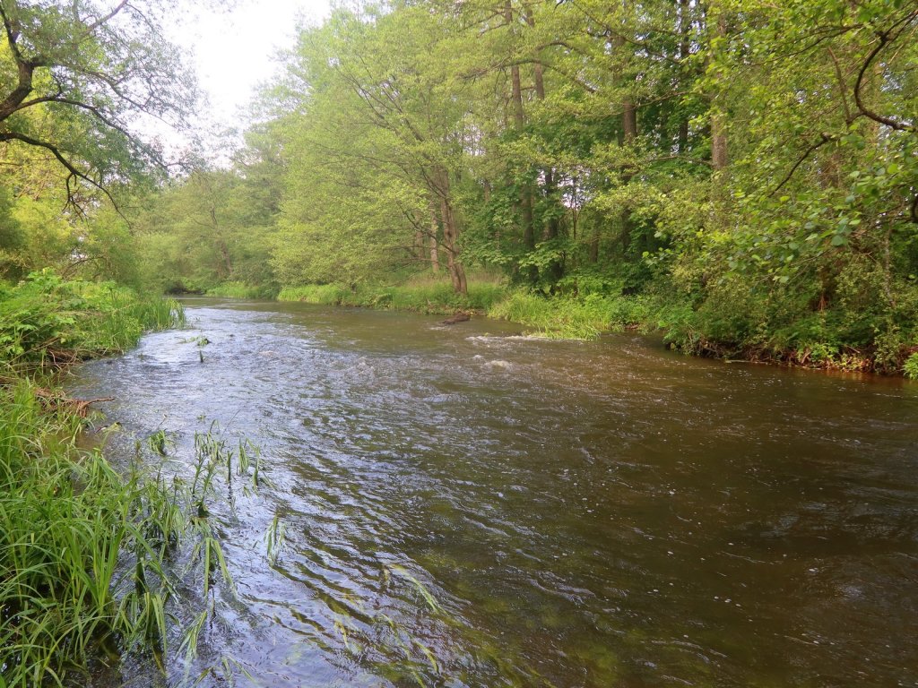 Перекат на малой реке