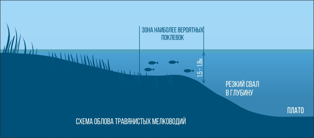 Схема облова травянистых мелковойдий Схема облова травянистых мелковойдий