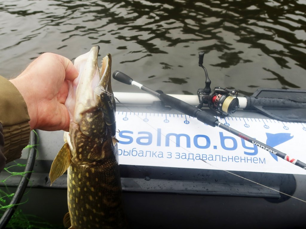 Щука успешно поднята в лодку