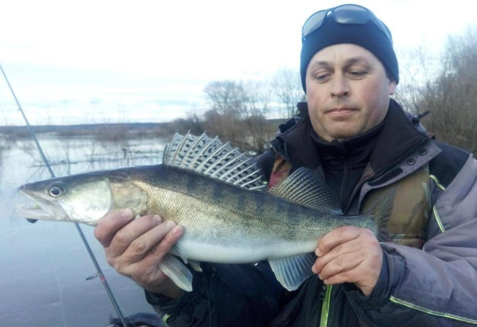 Андрей Позняк с пойманным на джиг судаком Андрей Позняк с пойманным на джиг судаком