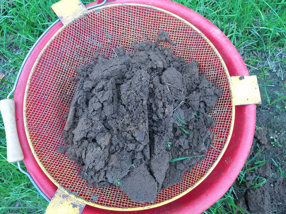 основы болонской ловли 00005.JPG