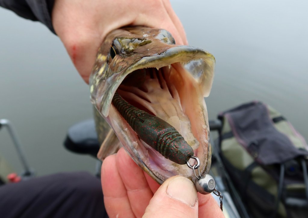 Щука глубоко проглотила мягкую приманку
