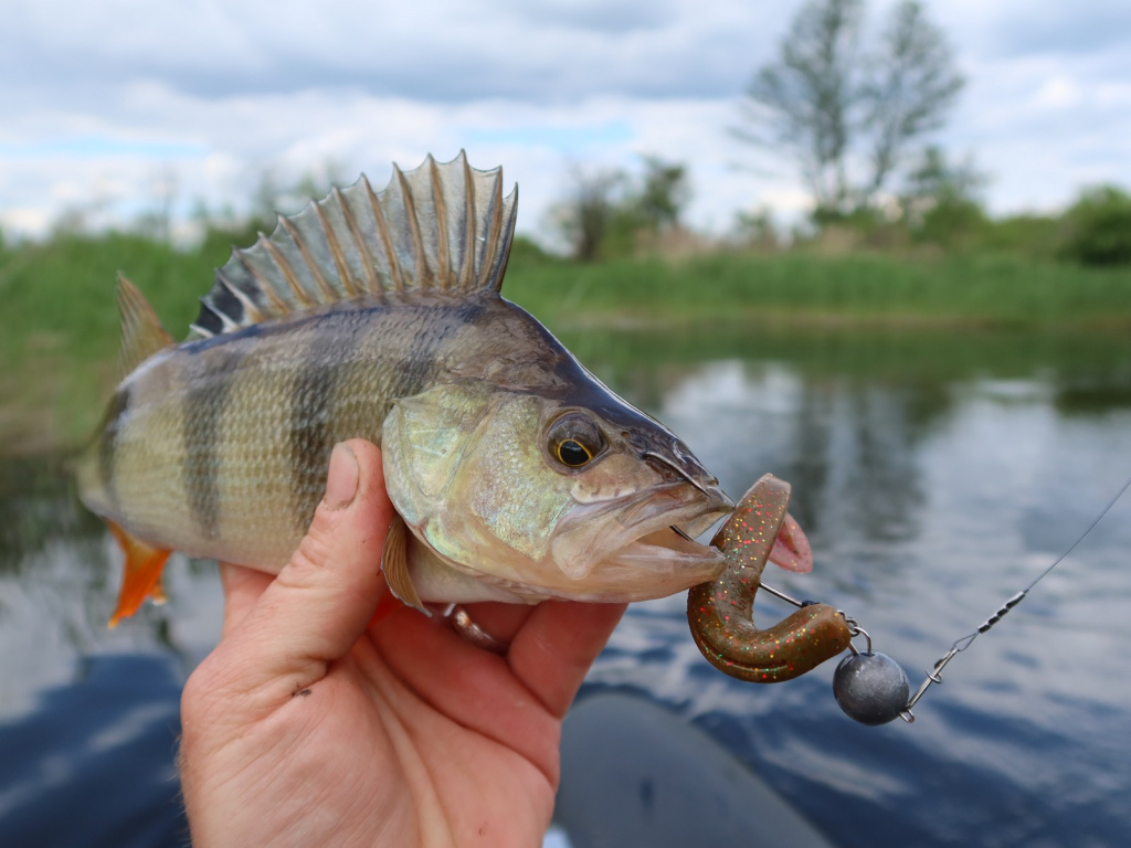Lucky John Slim Shaker – лучшая приманка сезона