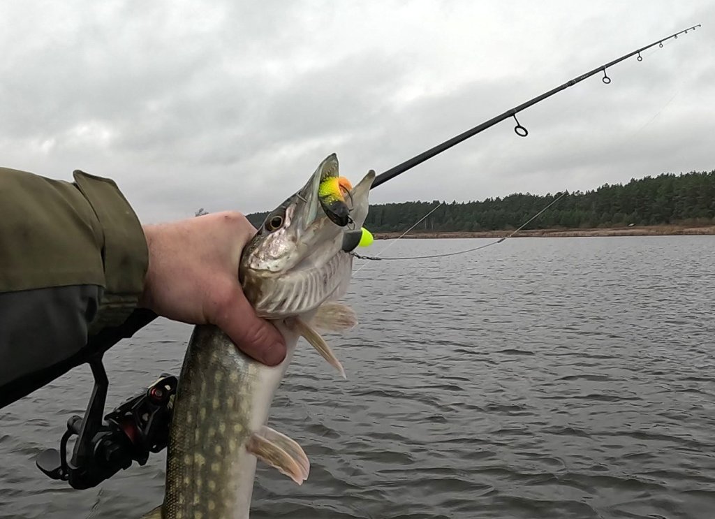 Щука и спиннинг на фоне водоёма