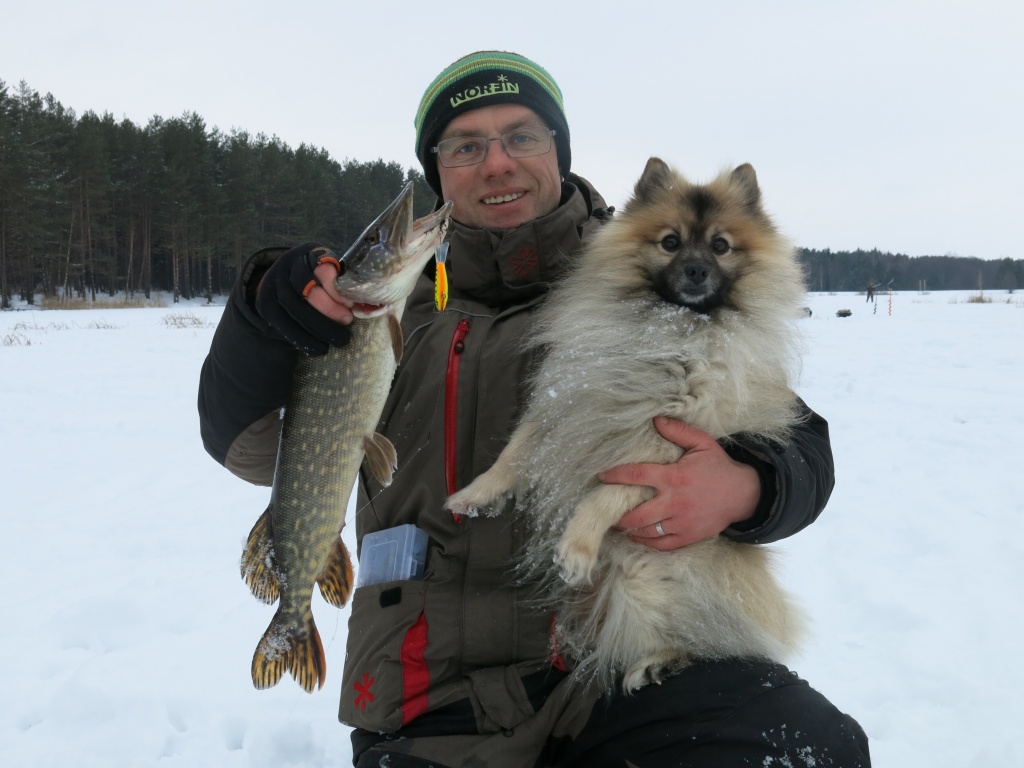Ловля щуки на балансиры
