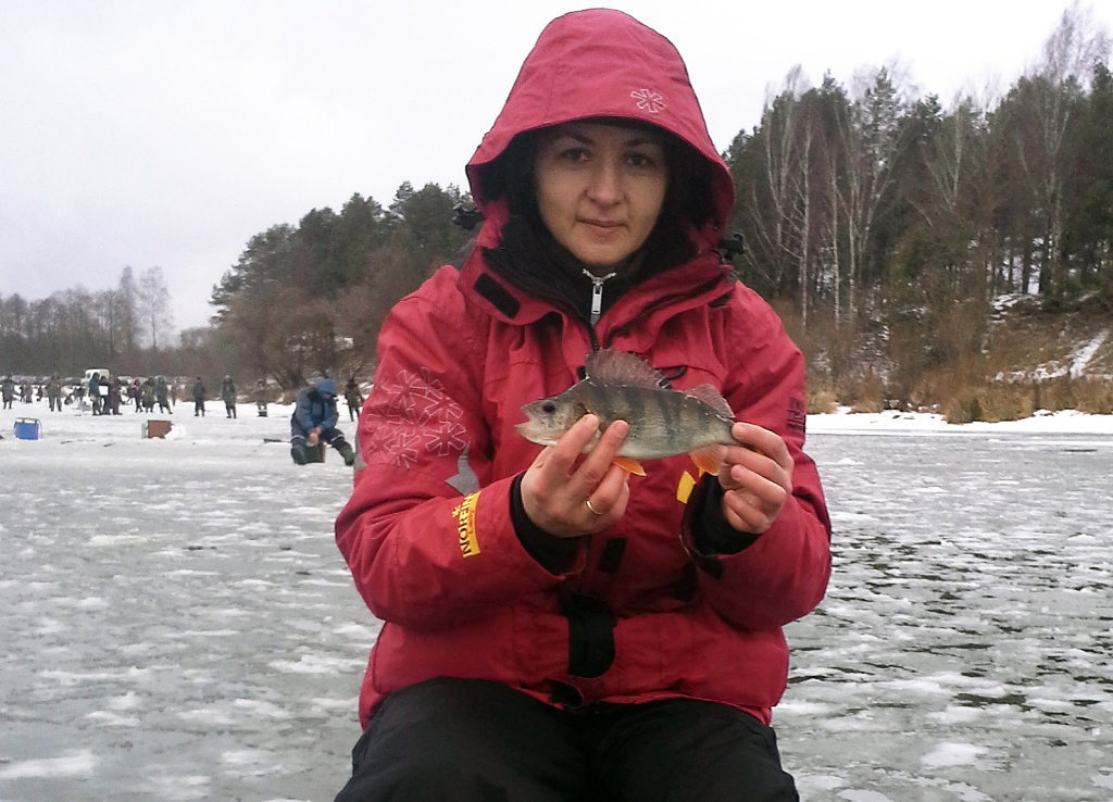 Окунь, пойманный в заливе реки