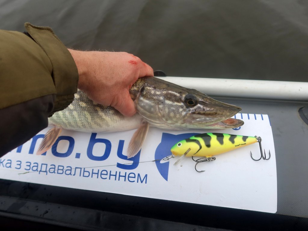 Щука и кислотный воблер на борту лодки
