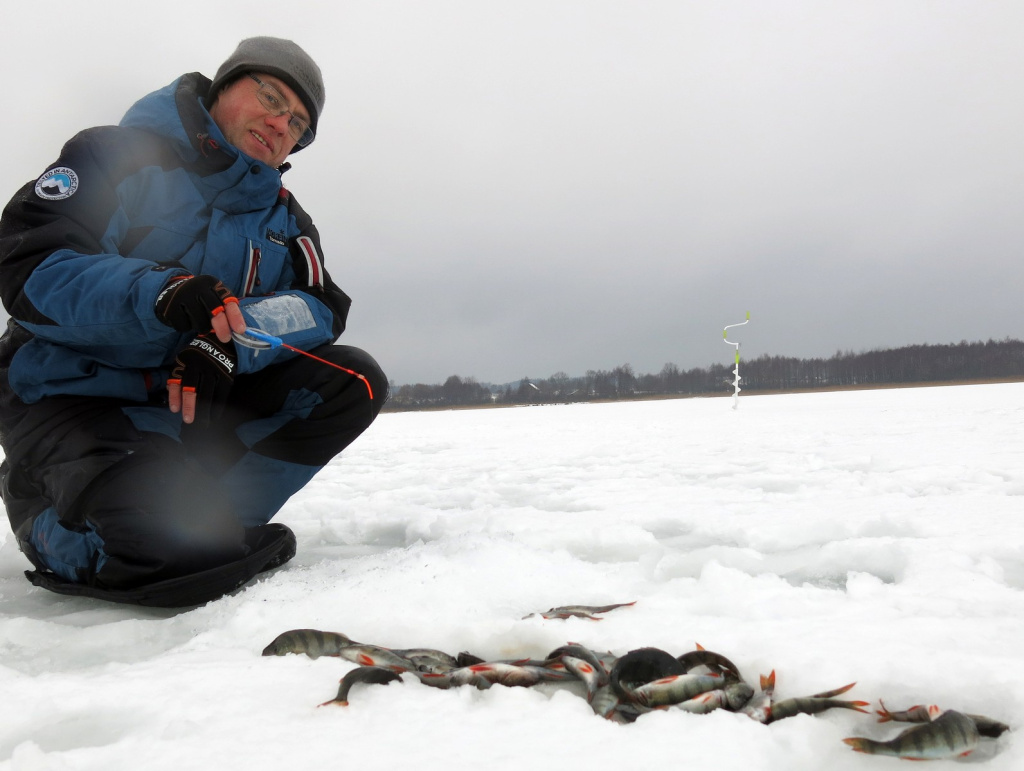 Использование кивка при зимней ловле