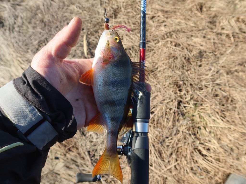 Окунь и спиннинг Lucky John Anira Microjig 5