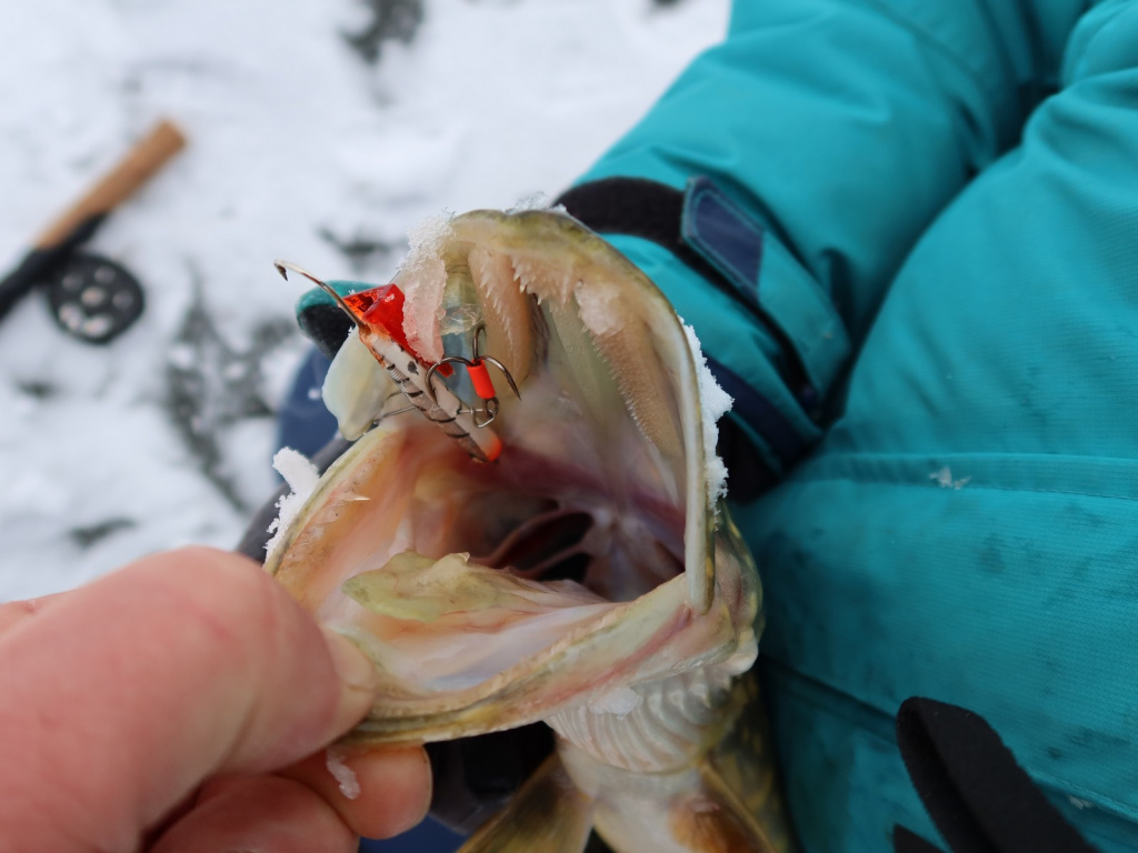Подготовка балансиров к сезону