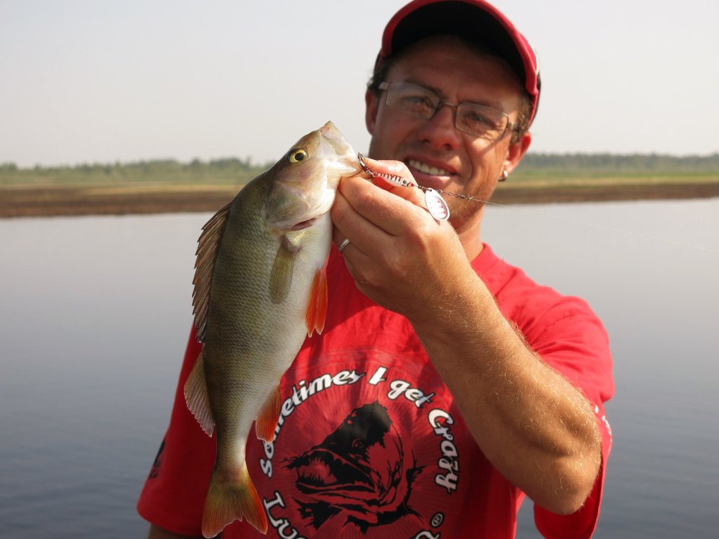 Валерий Сикиржицкий и летний окунь на вертушку Валерий Сикиржицкий и летний окунь на вертушку