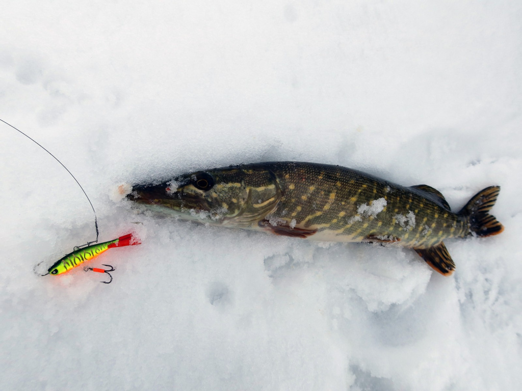 Подготовка балансиров к сезону