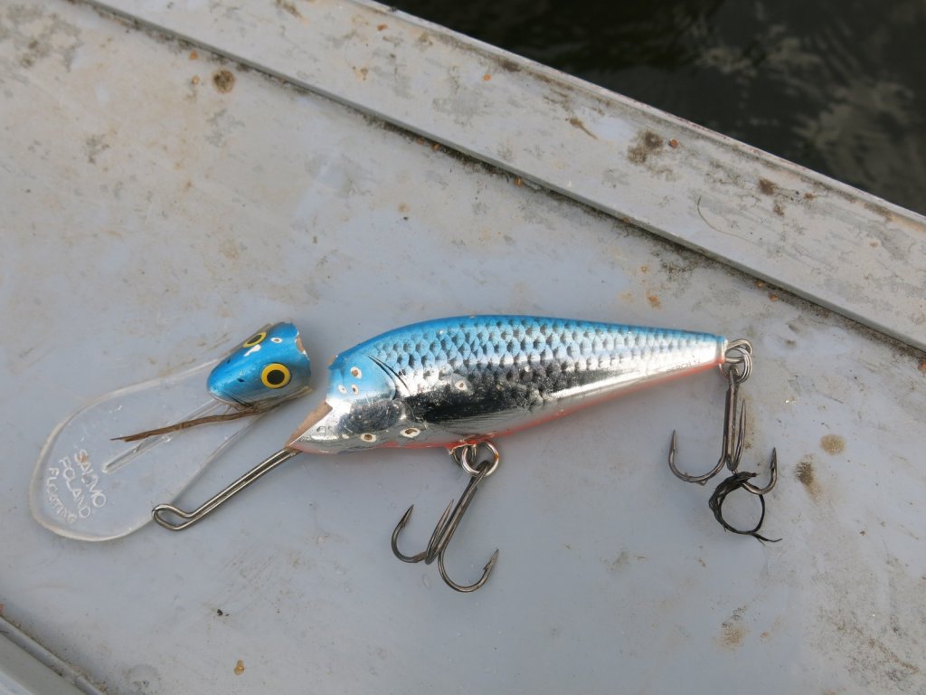 Рыба разломала воблер Рыба разломала воблер