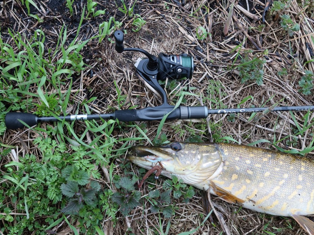 Спиннинг и щука лежат на земле